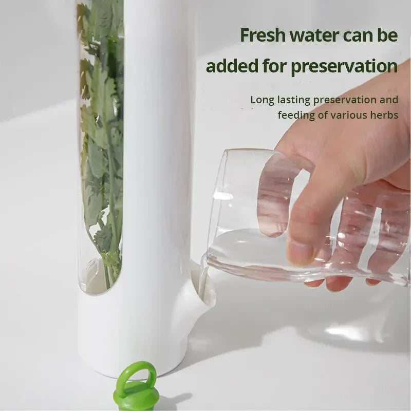 Recipiente garrafa de preservação vegetal